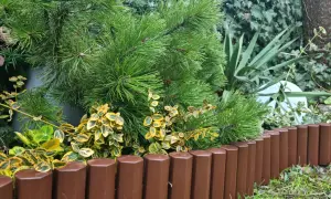 Jak układać palisady ogrodowe plastikowe - proste kroki i porady