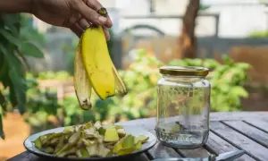 Ręka trzyma skórki banana nad talerzem z pokrojonymi bananami i pustym słoikiem.