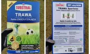 Substral Trawa Sportowa - jaka trawa na trawnik? Samo zagęszczająca, odporna na deptanie, idealna do intensywnego użytkowania.