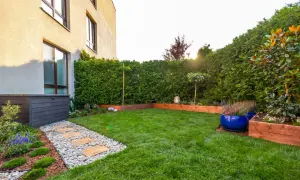 Nowoczesny ogródek na parterze z zadbanym trawnikiem, kamienną ścieżką i żywopłotem.