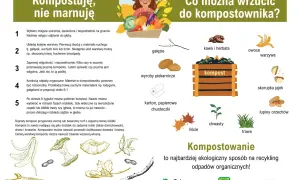 Ilustracja przedstawia kompostownik, dziewczynkę z warzywami i owoce, warzywa, kawę, skorupki jajek, orzechy, liście, trawę i chwasty.