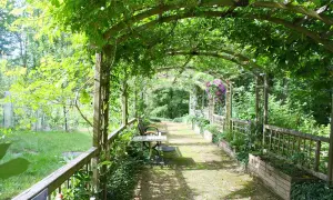 Jak zbudować pergolę pod winorośl - krok po kroku do idealnego wina
