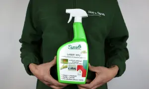 Zielony opryskiwacz Sumin Laser RTU, naturalny preparat na szkodniki, jak mszyce czy przędziorki. Idealny do ogrodu, niczym drogocenny kohinor dla roślin.