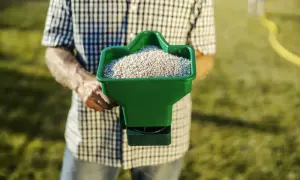 Mężczyzna w kratę trzyma zielony rozsiewacz z nawozem, gotowy do pracy. To klucz do tego, jak siać trawę na starym trawniku, by odzyskał dawny blask.