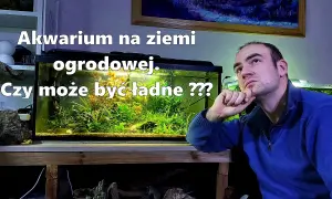 Jak założyć akwarium na ziemi ogrodowej bez zbędnych problemów