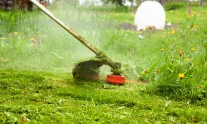 Podkaszarka akumulatorowa w akcji, kosząca trawę. Idealna do ogrodu, gdy szukasz najlepszego sprzętu w rankingu.