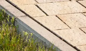 Zbliżenie na betonowe obrzeże trawnikowe i nierówno ułożone płyty chodnikowe.