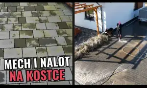 Skuteczne sposoby na usunięcie zielonego nalotu z płotu bez chemii