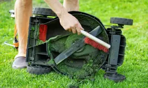 Jak czyścić kosiarkę spalinową, aby uniknąć kosztownych napraw