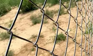 Ile kosztuje metr siatki ogrodowej? Sprawdź ceny i rodzaje siatek