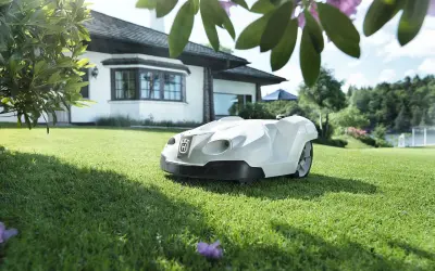 Robot koszący nie musi zagrażać pożytecznym zwierzętom. Unikaj tych 5 błędów