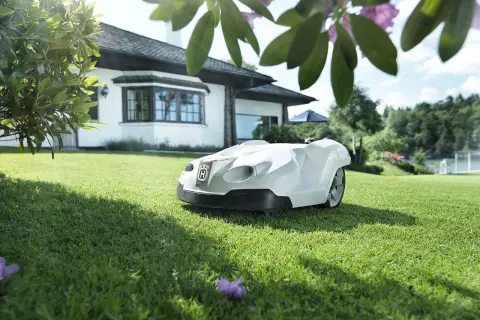 Robot koszący nie musi zagrażać pożytecznym zwierzętom. Unikaj tych 5 błędów