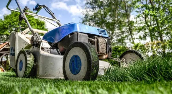 Jak ustawić zapłon w kosiarce spalinowej - proste kroki na start