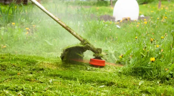 Podkaszarka akumulatorowa w akcji, kosząca trawę. Idealna do ogrodu, gdy szukasz najlepszego sprzętu w rankingu.