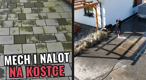 Skuteczne sposoby na usunięcie zielonego nalotu z płotu bez chemii