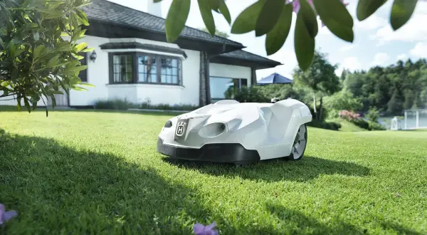 Robot koszący nie musi zagrażać pożytecznym zwierzętom. Unikaj tych 5 błędów