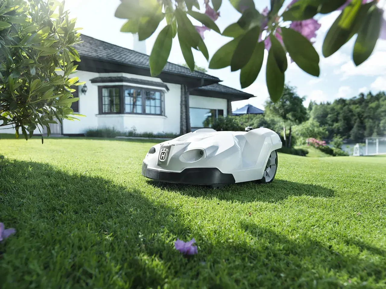 Robot koszący nie musi zagrażać pożytecznym zwierzętom. Unikaj tych 5 błędów