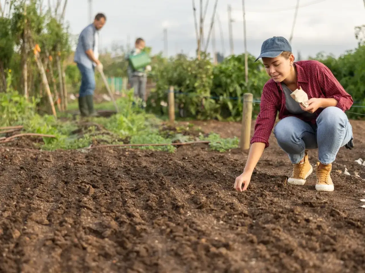 Młoda kobieta sieje nasiona na żyznej glebie, przygotowując pole do wzrostu warzyw. W tle mężczyzna i dziecko pracują, dbając o nawóz organiczny.