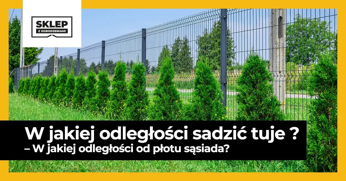 Zdjęcie Ile od płotu można sadzić drzewa, aby uniknąć problemów z sąsiadami?