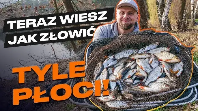 Zdjęcie Na jakiej głębokości łowić płocie? Odkryj sekrety skutecznego wędkowania